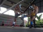 pertarungan-thai-boxing.jpg