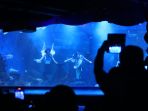 pertunjukan-bawah-air-pada-libur-natal_20201225_181825.jpg