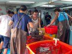 perusahaan-yang-kali-ini-melakukan-ekspor-adalah-cv-indo-marine-fish-di-tual-maluku.jpg