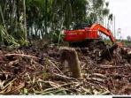 perusakan-gambut-di-pungkat-riau_20150820_184713.jpg