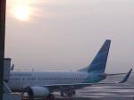 pesawat-garuda-garuda.jpg