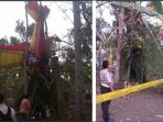 pesawat-kecil-jatuh-di-pekarangan-rumah-warga-gading-gunungkidul_20180904_205017.jpg