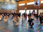 pesilat-di-belanda.jpg