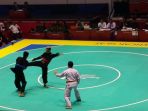 pesilat-putra-indonesia-hanifan_20180826_191513.jpg
