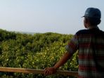 pesona-hutan-mangrove-di-pandanwangi_20170828_144108.jpg