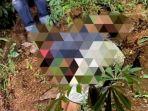 petani-di-pati-tewas-di-ladang.jpg
