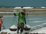 petani-garam-sumenep-semakin-tercekik-ketika-pt-garam_20151214_072605.jpg