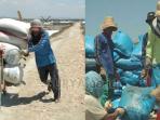 petani-garam_20150909_003813.jpg
