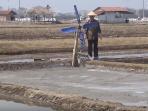 petani-garam_20151106_135850.jpg