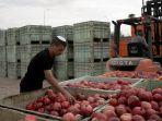 petani-israel.jpg