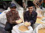 petani-jagung-4.jpg