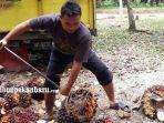 petani-kelapa-sawit-di-riau.jpg