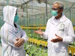 petani-melon-di-kudus-bikin-ganjar-terpukau.jpg