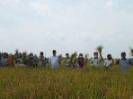petani-muara-enim-fpdmip.jpg