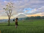 petani-padi-mengecek-saluran-irigasi-sawahnya_20201201_132251.jpg