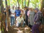petani-pisang-25-maret-2019.jpg