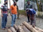 petani-potong-kayu-jati-perhutani.jpg