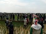 petani-sukamulya-tolak-bandara-2_20161117_184416.jpg