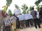 petani-tembakau-berunjuk-rasa_20160826_155633.jpg