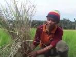 petani_20160318_201704.jpg