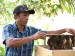 petani_20180405_191628.jpg