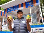 Diberdayakan BRI, Petani Mangga Bondowoso Mampu Perluas Lahan dan Tingkatkan Taraf Hidup