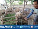 peternak-kambing-desa-klutuk-kecamatan-tambakboyo.jpg