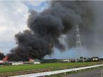 peternakan-babi-terbakar-nih3.jpg