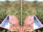 peti-mati_20160708_025802.jpg