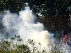 petugas-bnpb-berusaha-padamkan-kebakaran-hutan-sumsel_20200829_173507.jpg
