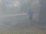 petugas-bpbd-kota-langsa-berjiibaku1111.jpg