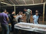 petugas-deninteldam-ibb-saat-menggerebek-lokasi-judi-dadu_20170419_200043.jpg