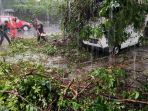 petugas-dpkp3-evakuasi-mobil-tertimpa-pohon-tumbang_20211110_194729.jpg
