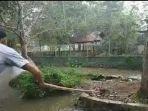 petugas-kebun-binatang-mini-jahri-saleh-banjarmasin-apri-buaya.jpg