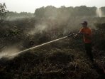 petugas-kembali-berjibaku-padamkan-kebakaran-lahan-di-pekanbaru_20160313_203838.jpg