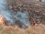 petugas-memadamkan-kebakaran-hutan-di-gunung-semeru.jpg