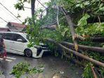 petugas-menangani-pohon-tumbang-akibat-angin-puting-beliung-di-wilayah-kebayoran-lama.jpg