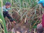 petugas-mendatangi-tempat-penemuan-mayat-laki-laki-yang-sudah.jpg