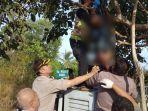 petugas-menurunkan-tubuh-suwarni-yang-tersangkut-di-pohon.jpg