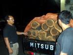 petugas-patroli-perhutani-tangkap-pencuri-kayu_20160324_114438.jpg