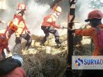 petugas-pemadam-kebakaran-memadamkan_20180712_141142.jpg