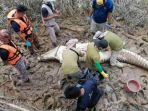 petugas-penyelamat-membedah-perut-buaya-yang-mereka-tangkap.jpg
