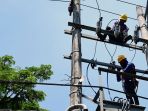 petugas-pln-malang-lakukan-perawatan-jaringan-listrik_20220917_202208.jpg