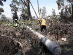 petugas-pln-tengah-berupaya-memperbaiki-jaringan-listrik-agar-kembali-berfungsi.jpg