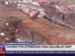 petugas-temukan-hewan-kurban-mengandung-cacing-pita_20150925_180259.jpg
