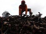 petugas-terus-bersihkan-kulit-kabel_20160305_105039.jpg