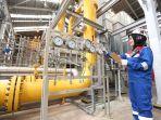pgn-belum-naikkan-harga-gas-tertentu.jpg