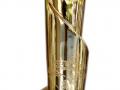 piala-wtn.jpg