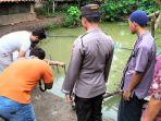 pihak-kepolisian-mengecek-lokasi-balita-yang-tewas-di-kolam-ikan-di-desa-kembangan.jpg