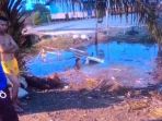 pikap_20180315_200411.jpg